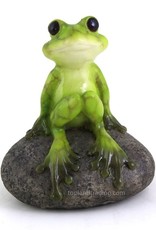 Top Land Trading CUTE FROG ON STONE