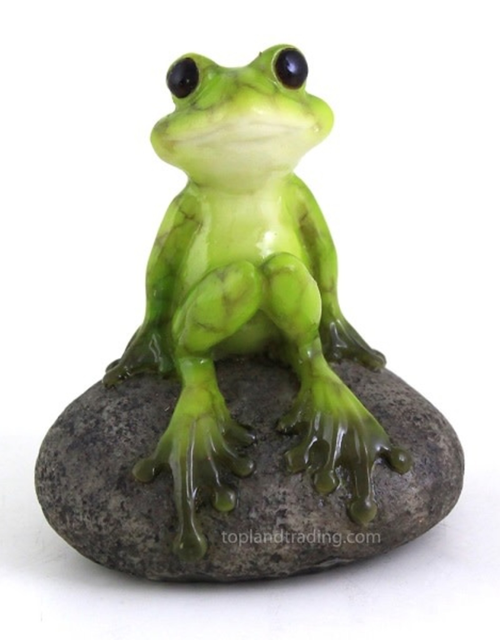 Top Land Trading CUTE FROG ON STONE