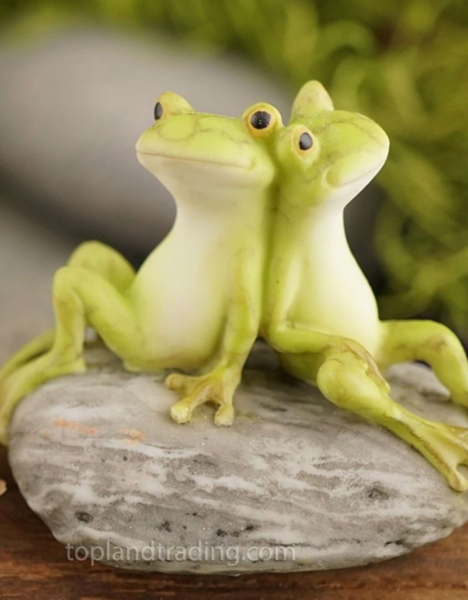 Top Land Trading FROG FRIENDS ON STONE