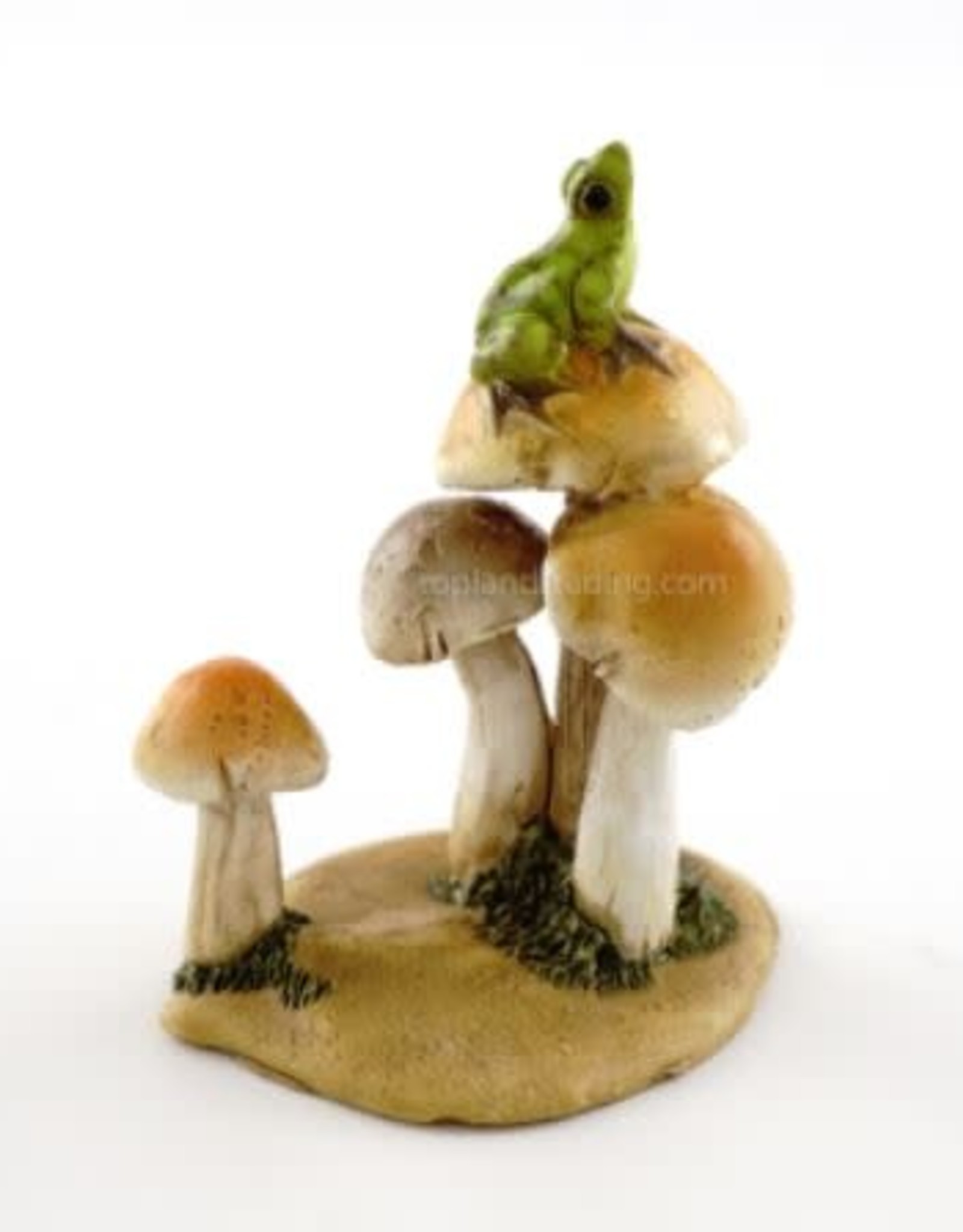 Top Land Trading FROG ON MUSHROOMS