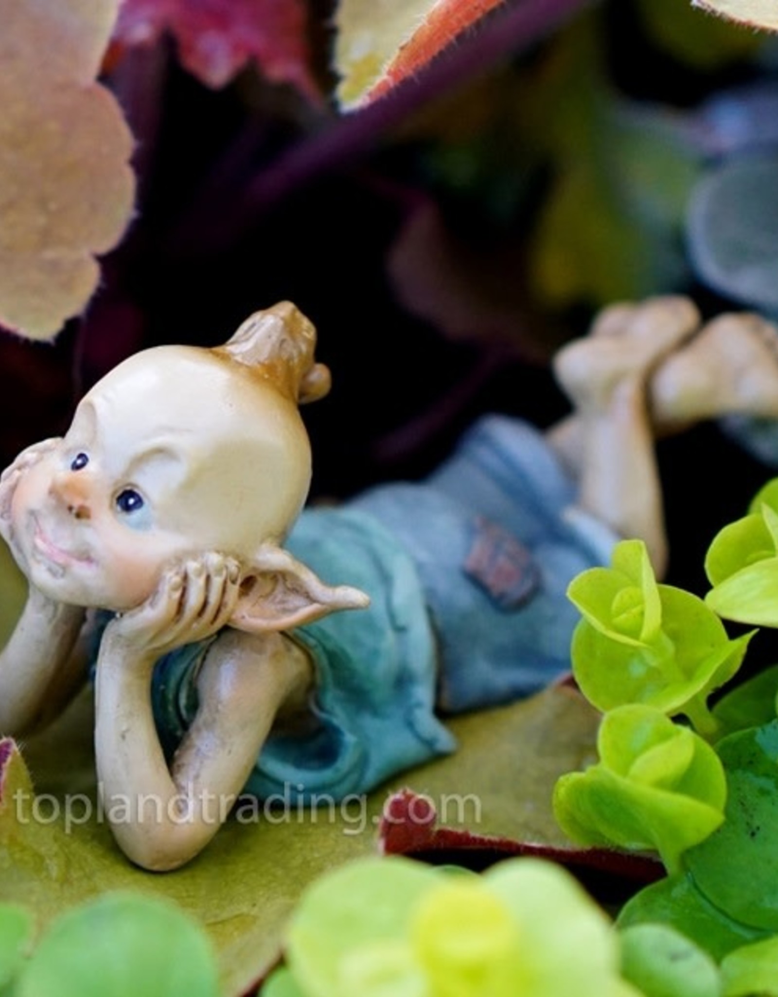 Top Land Trading GARDEN PIXIE IN THOUGHT