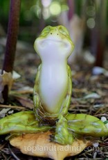 Top Land Trading YOGA FROG IN MEDITATION LOTUS POISE WITH BABY FROG