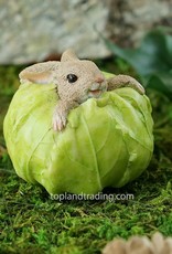 Top Land Trading RABBIT STUCK IN CABBAGE