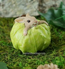 Top Land Trading RABBIT STUCK IN CABBAGE