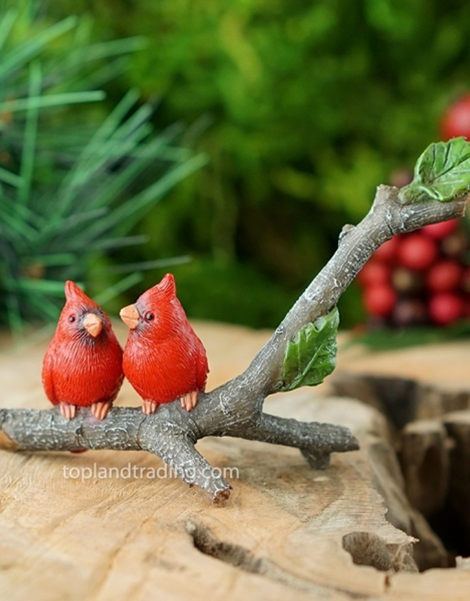 Top Land Trading CARDINALS ON BRANCH