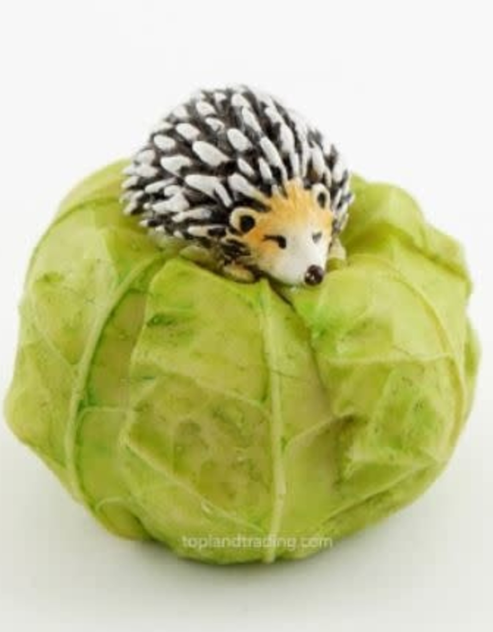 Top Land Trading MINI HEDGEHOG ON CABBAGE