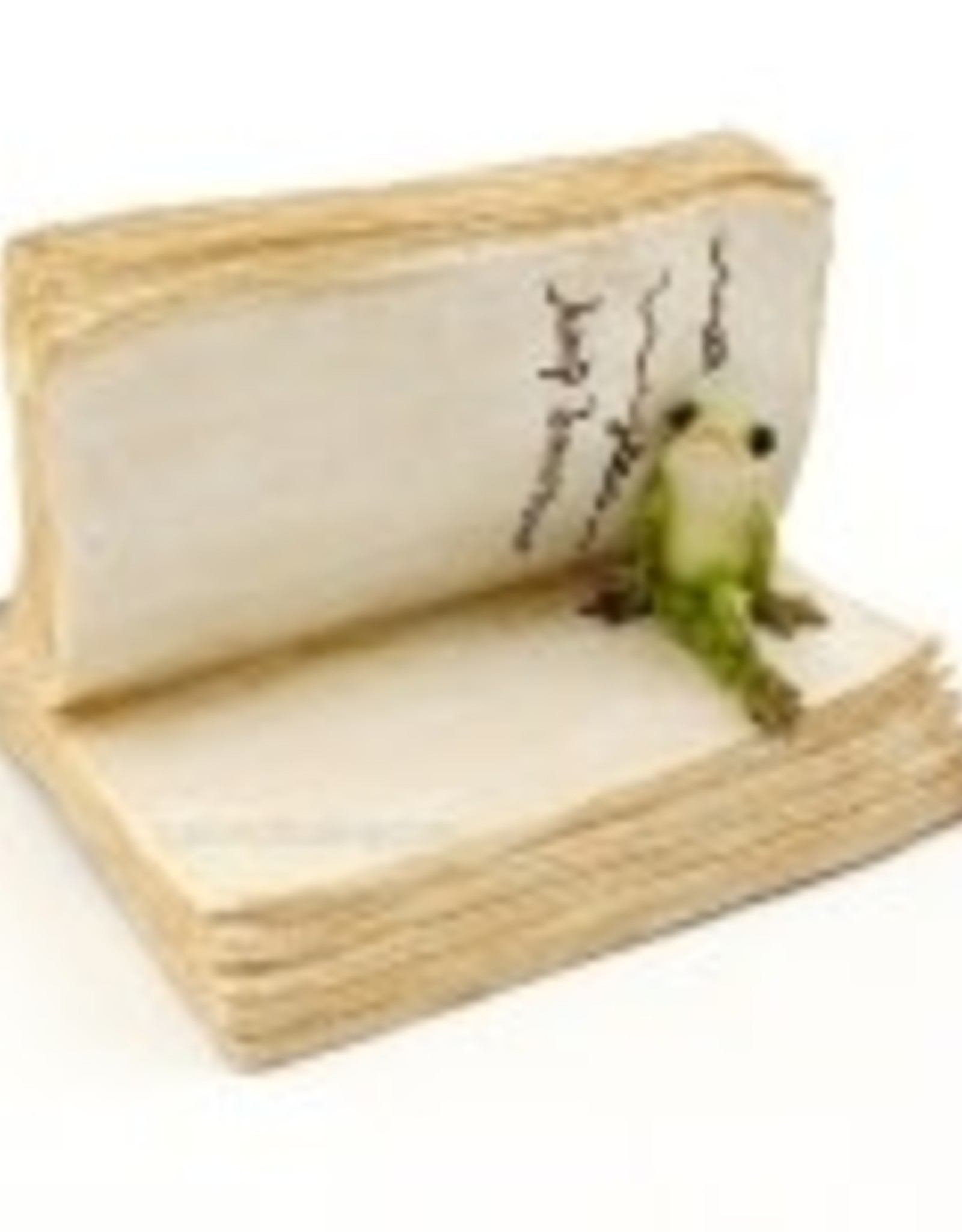 FROG ON BOOK - Schoolhouse Earth