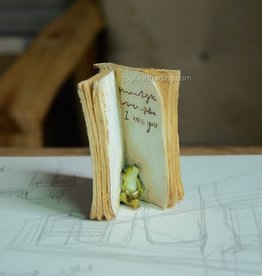 Top Land Trading FROG HIDING IN BOOK