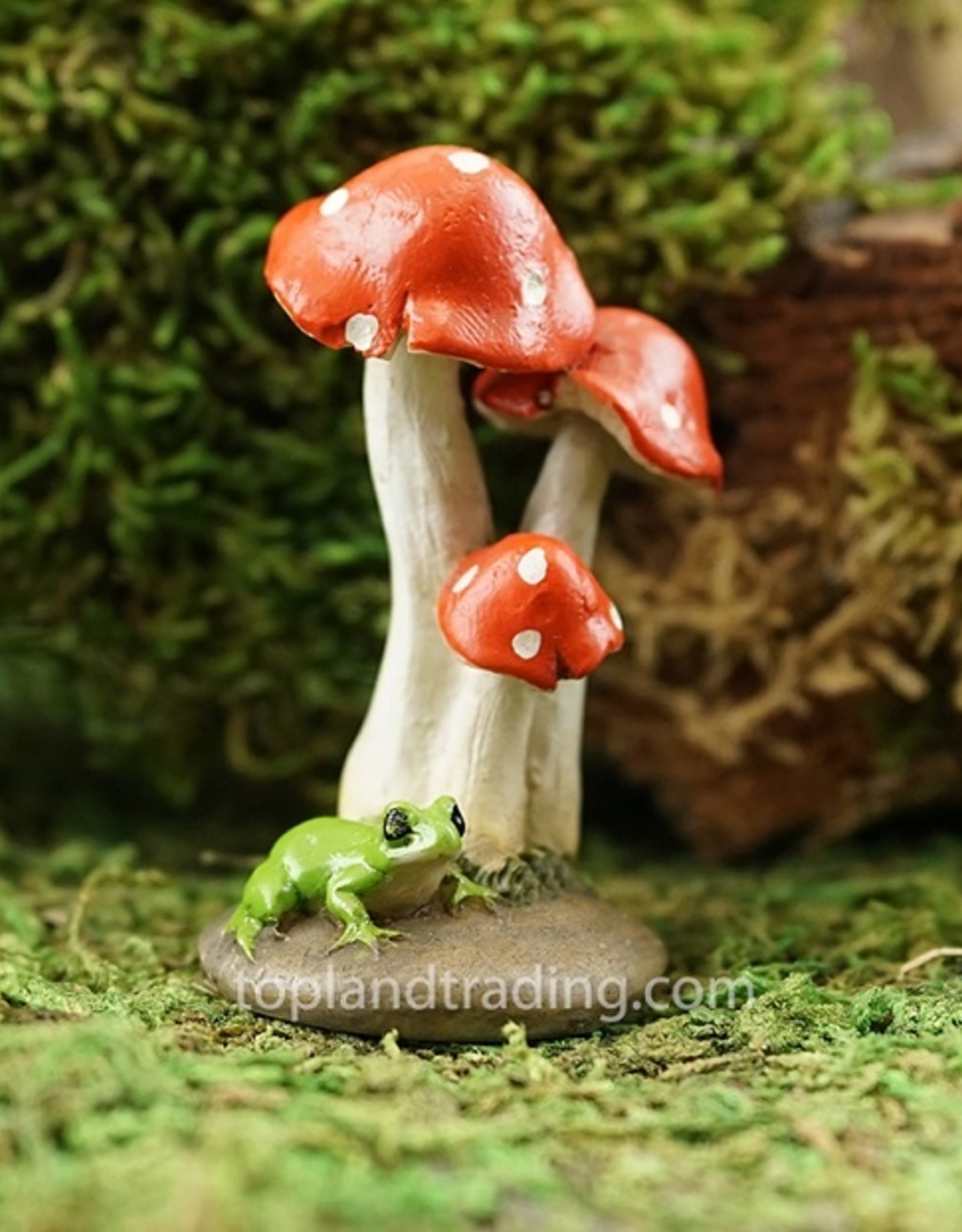 Top Land Trading MINI FROG WITH RED MUSHROOMS