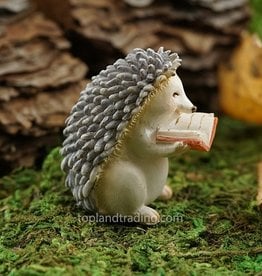 Top Land Trading HEDGEHOG LITTLE READING