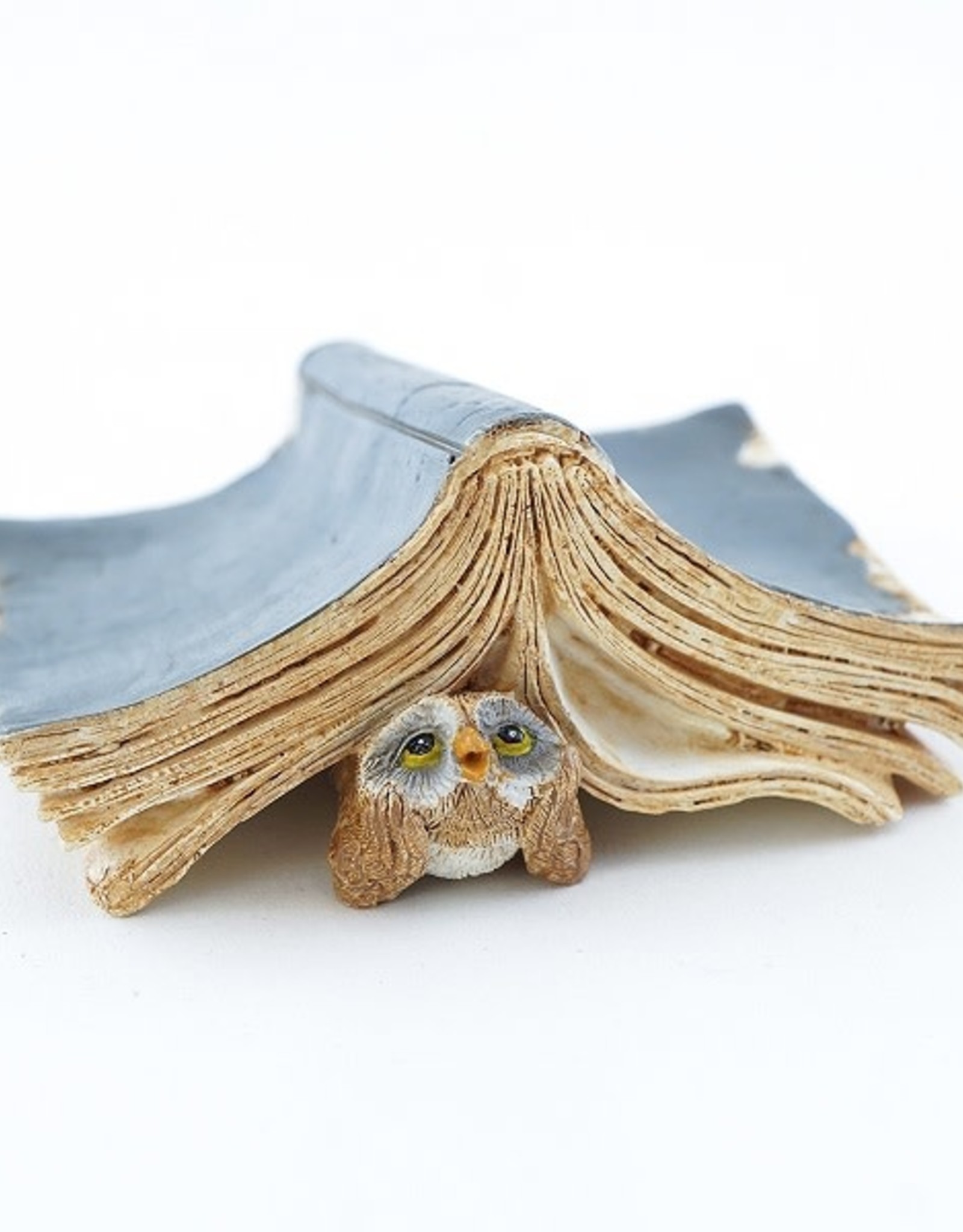 Top Land Trading OWL UNDER BOOK