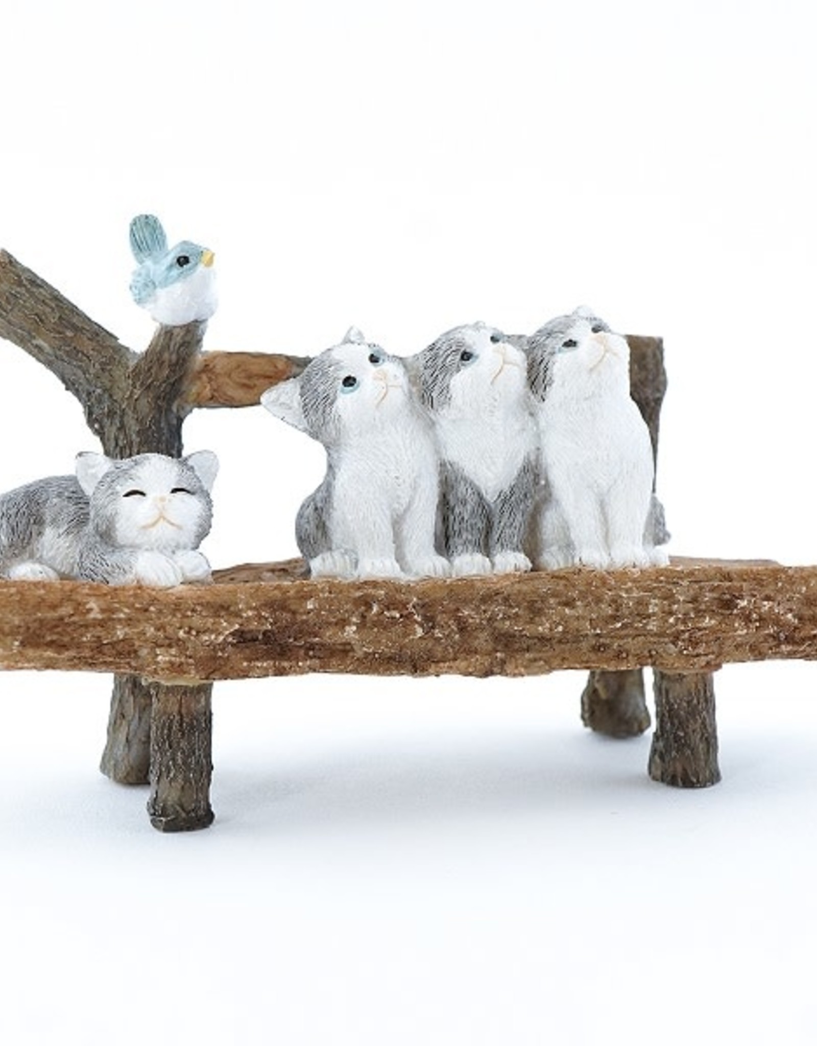 Top Land Trading KITTENS ON BENCH