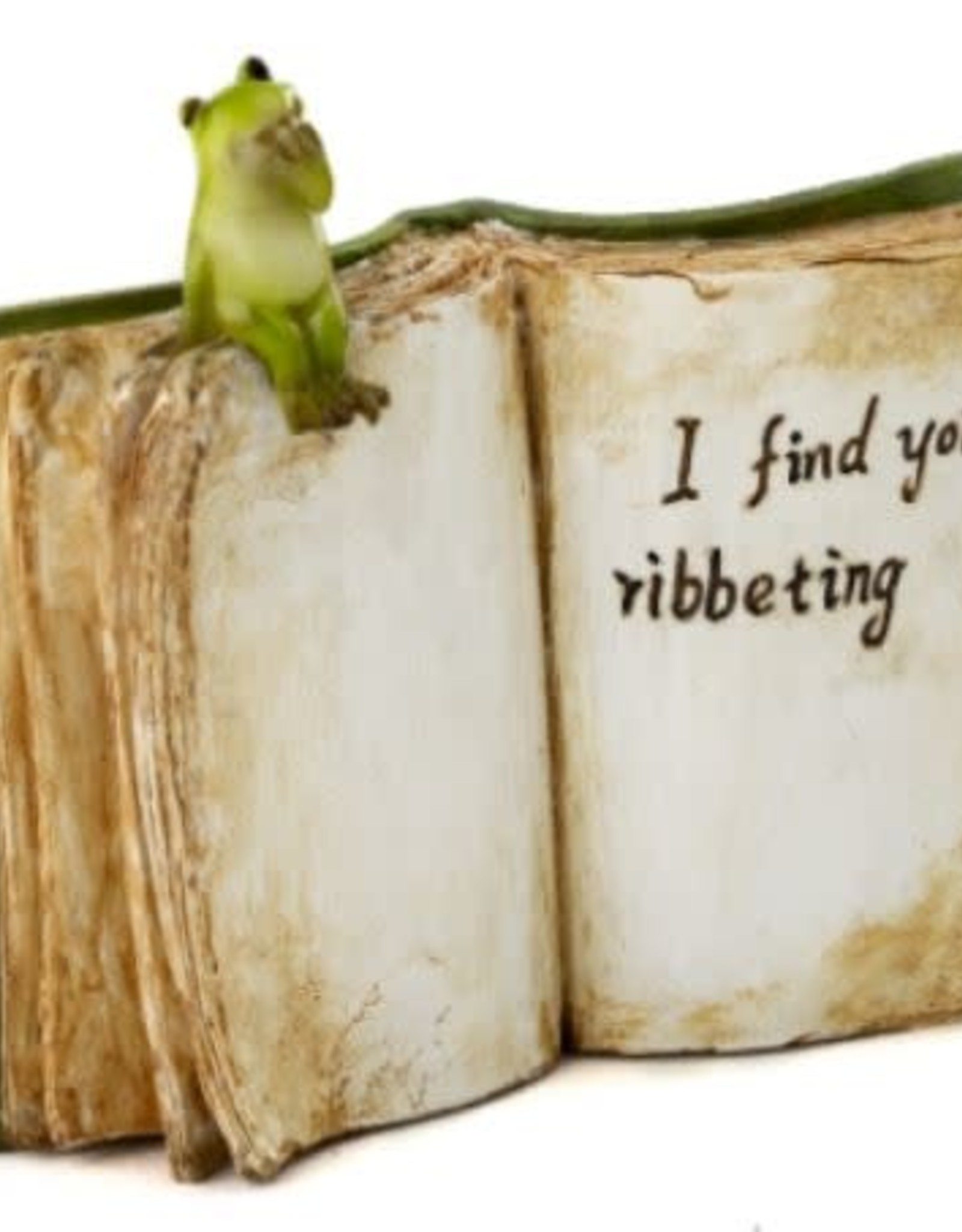 Top Land Trading I FIND YOU RIBBETING BOOK WITH FROG