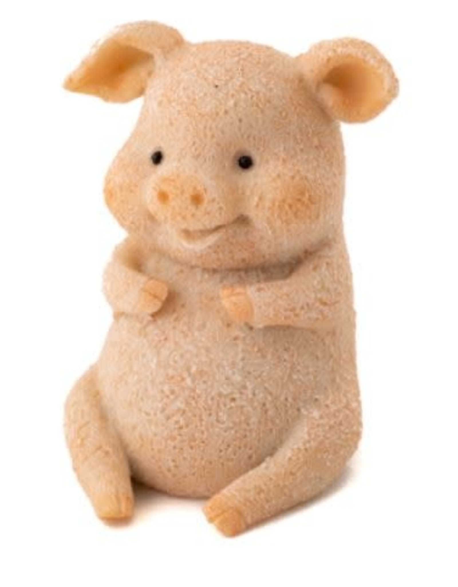 Top Land Trading CUTE PIGGY