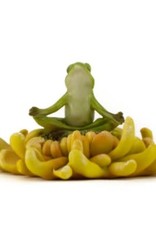 Top Land Trading FROG MEDITATING ON SUNFLOWER