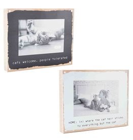 Mud Pie ACRYLIC CAT FRAME COLLECTION