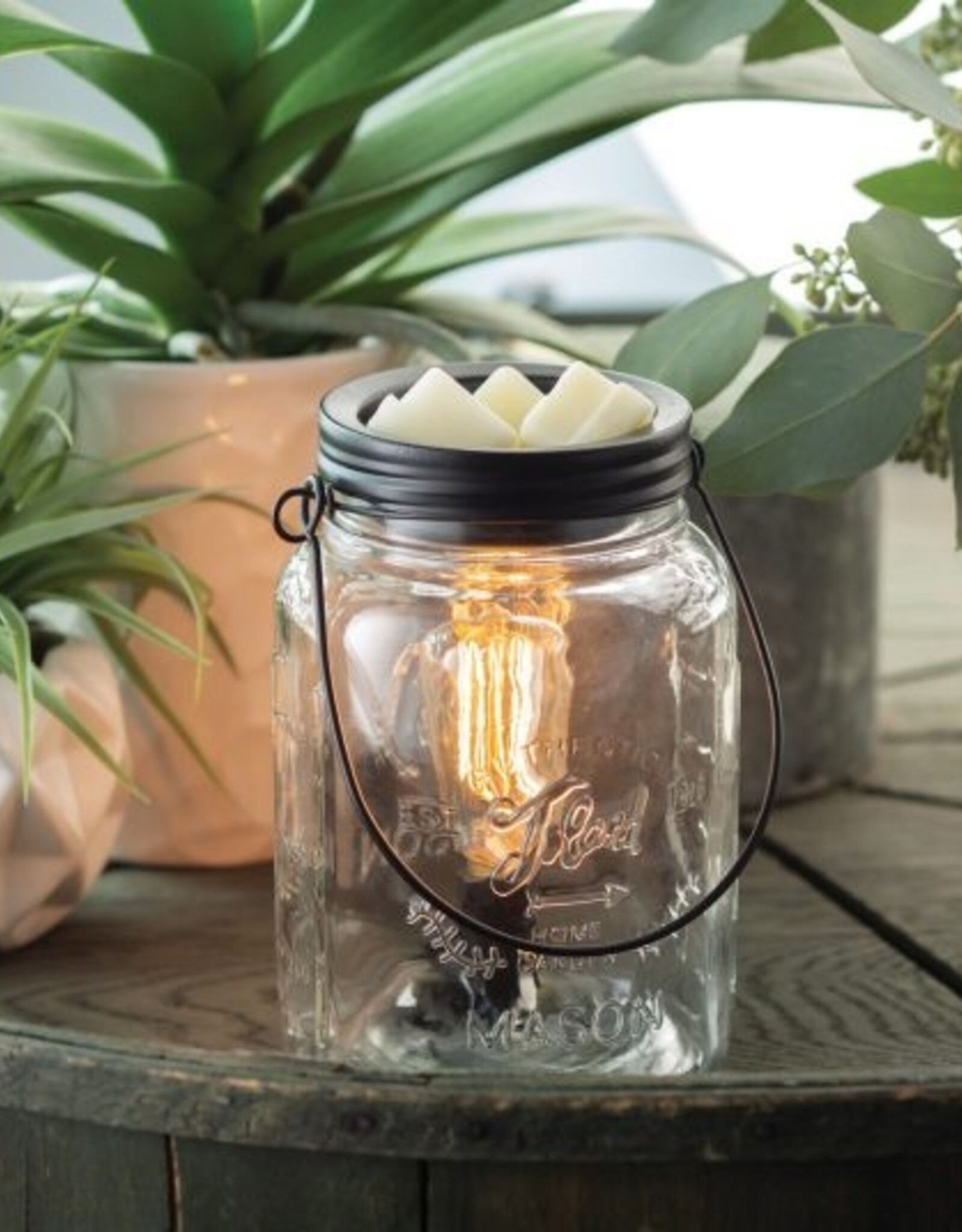 Candle Warmers EDISON BULB ILLUMINATION  WAX WARMER