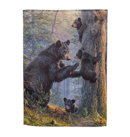 Evergreen BEAR FAMILY GARDEN FLAG - suede