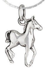 Tiger Mountain STROLLING FOAL NECKLACE - sterling silver