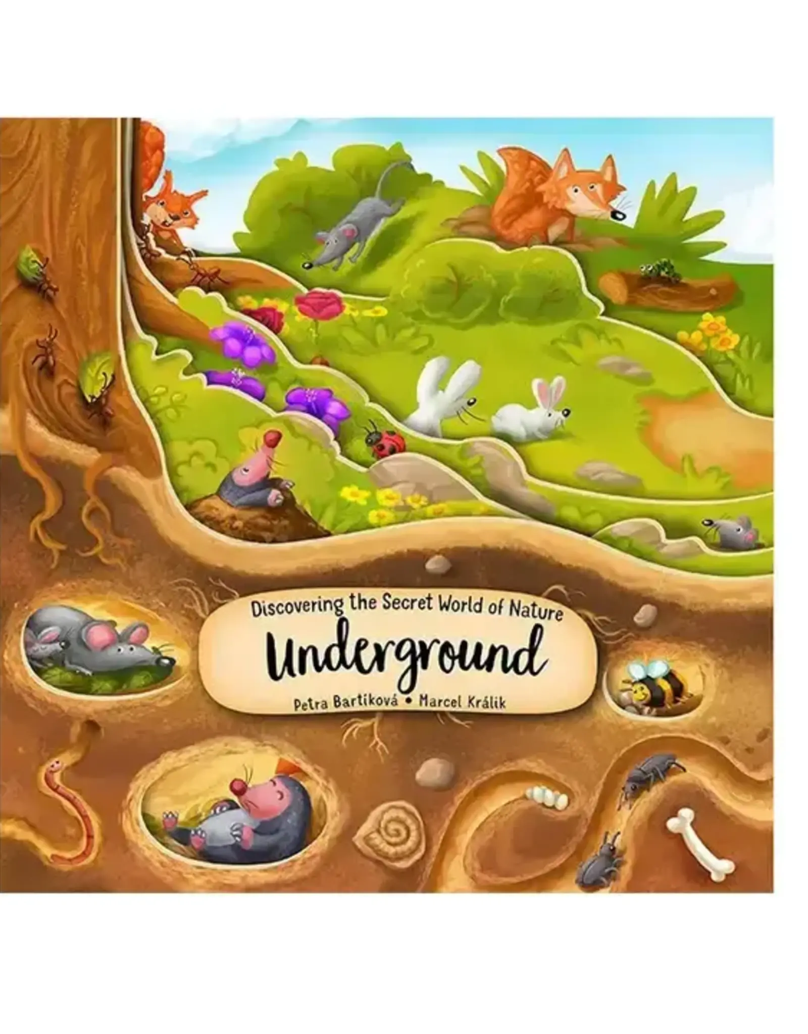 Wellspring BOARD BOOK UNDERGROUND LAYERED