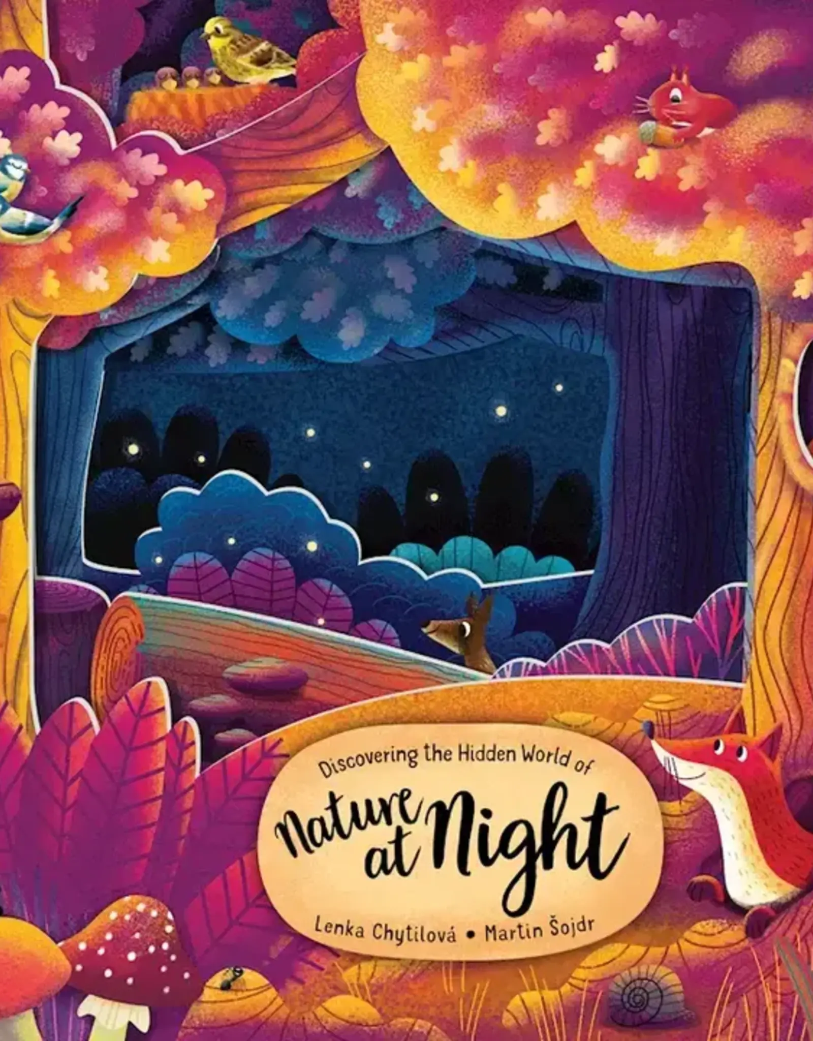Wellspring BOARD BOOK HIDDEN WORLD OF NATURE AT NIGHT