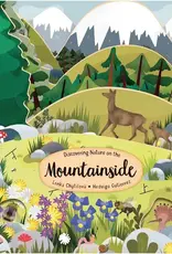Wellspring BOARD BOOK MOUNTAINSIDE LAYERED Wellspring BOARD BOOK MOUNTAINSIDE LAYERED