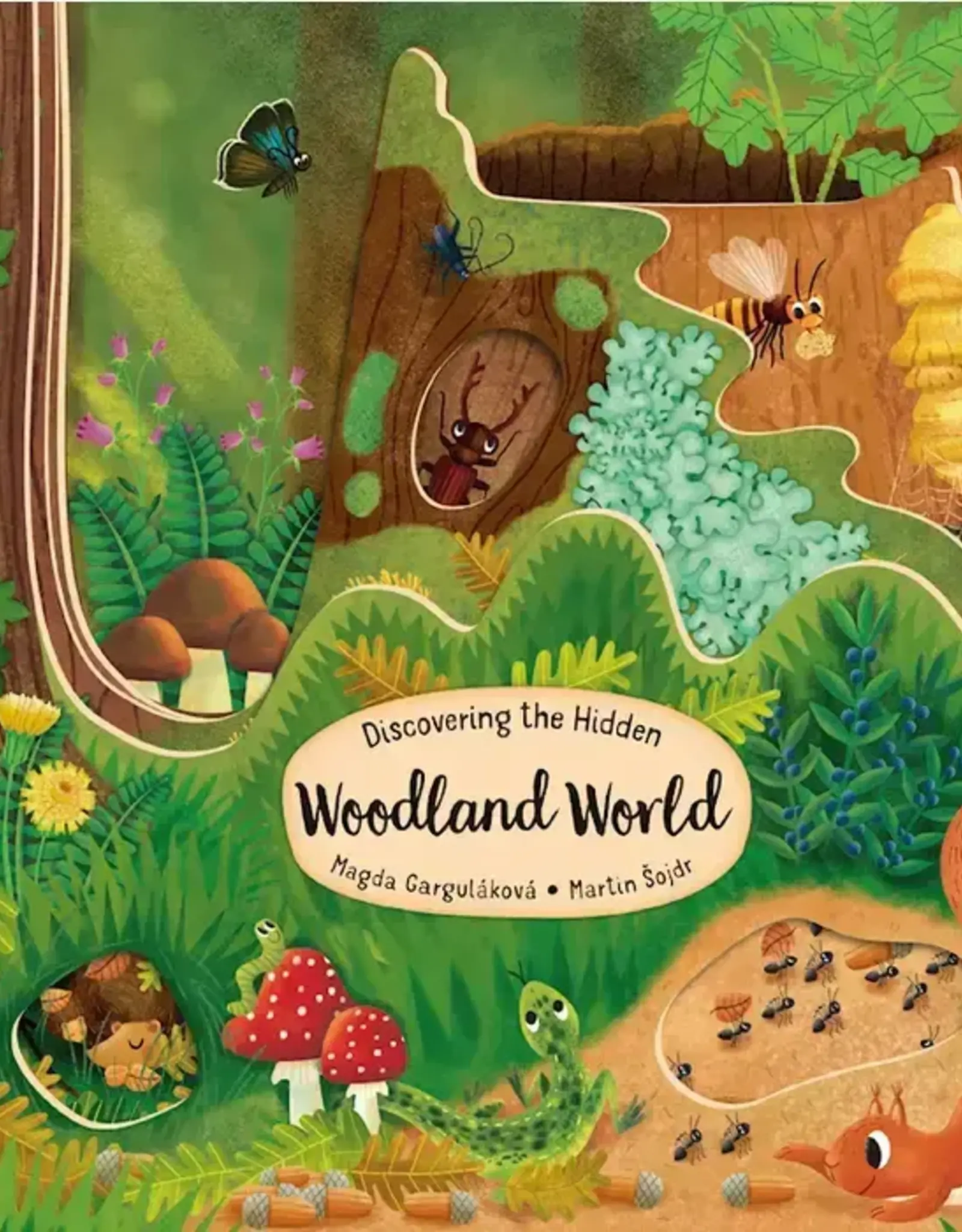 Wellspring BOARD BOOK WOODLAND WORLD