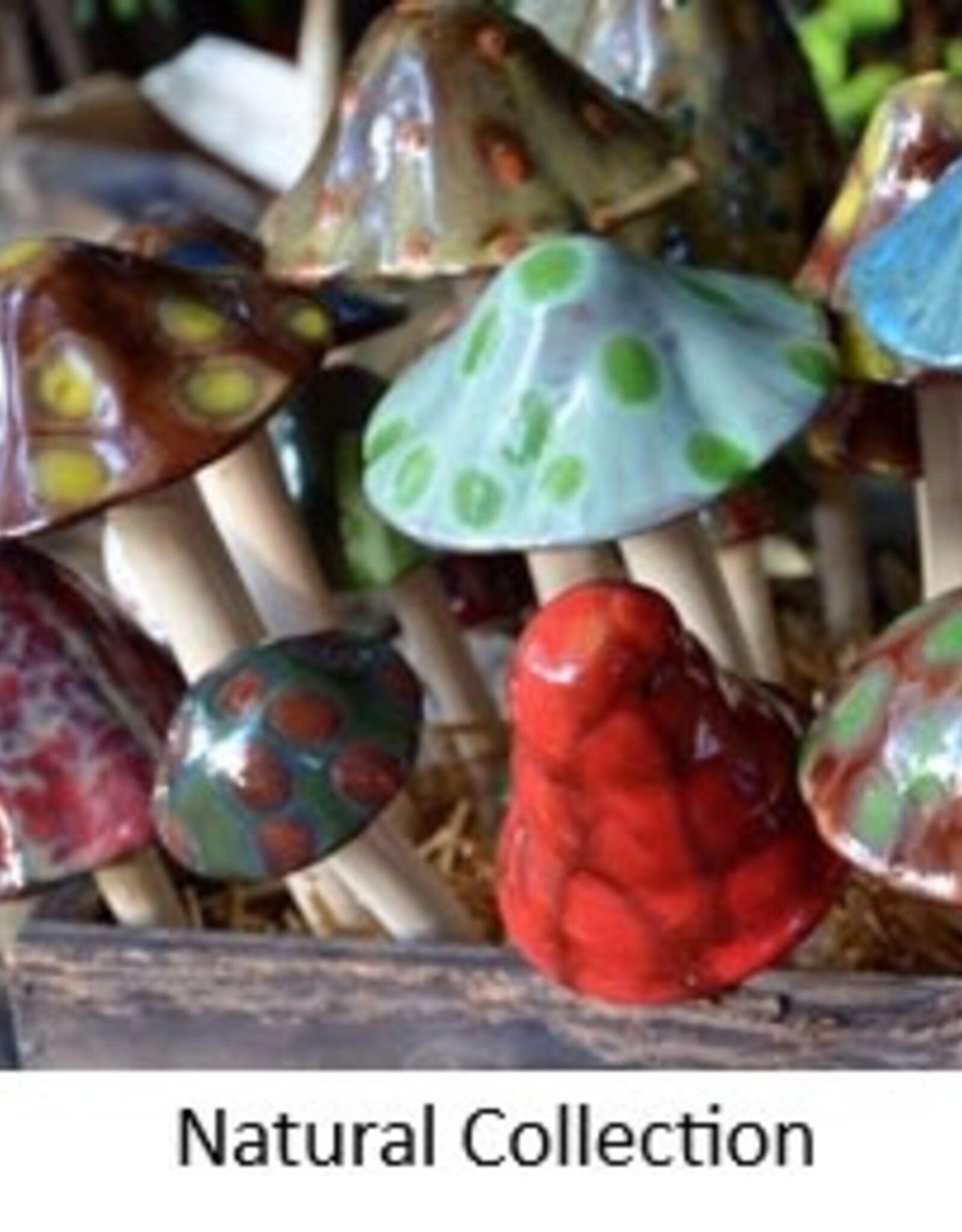 J J Potts SHROOMYZ MUSHROOMS - assorted sizes