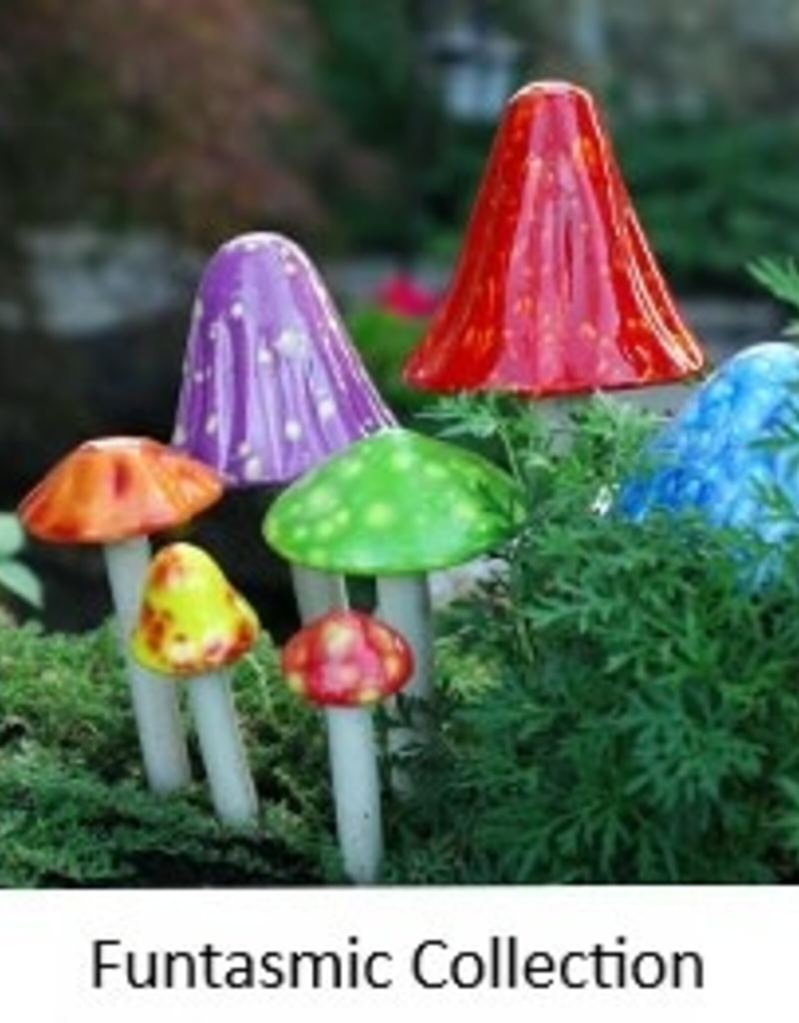 J J Potts SHROOMYZ MUSHROOMS - assorted sizes