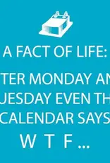 Paper Products Designs WTF BEVERAGE NAPKIN