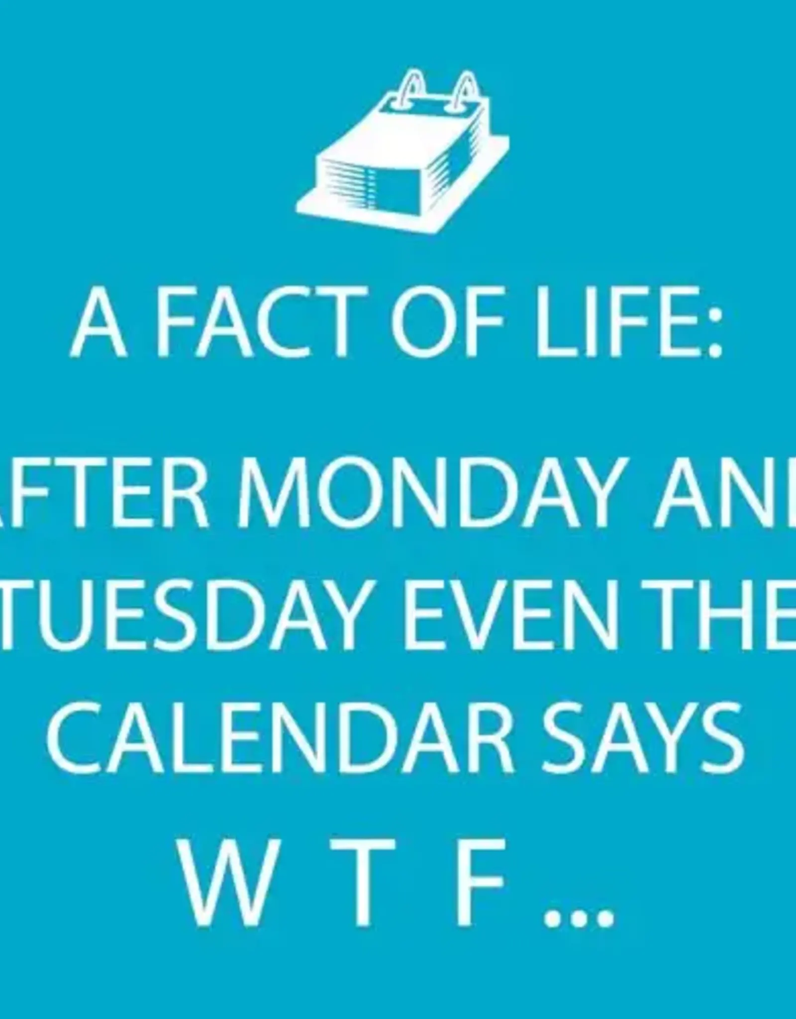 Paper Products Designs WTF BEVERAGE NAPKIN