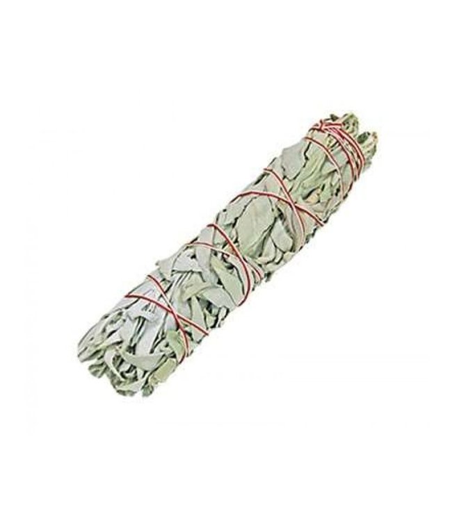 White Sage Bundle X large 12"