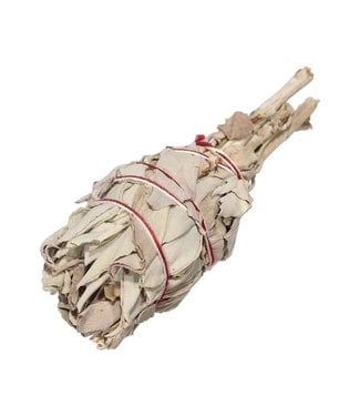 Witch of Walkerville White Sage Mini Torch