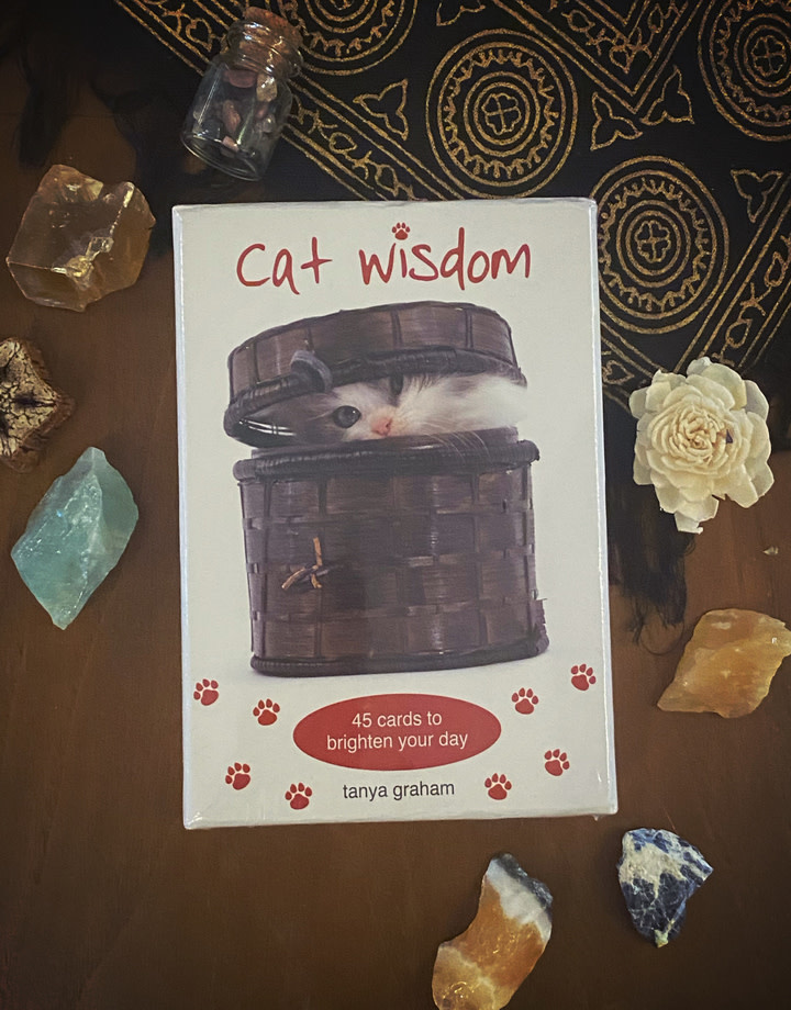 Cat Wisdom Oracle
