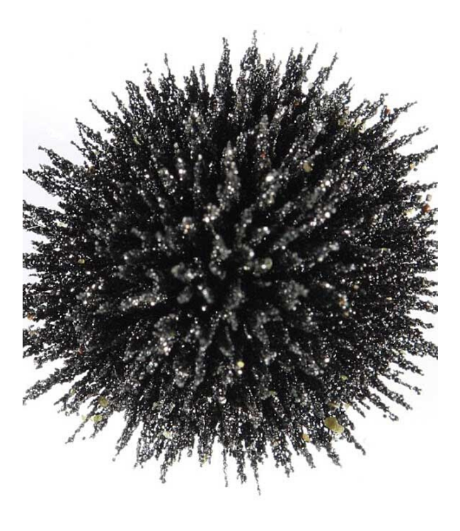 Witch of Walkerville Lodestone Food