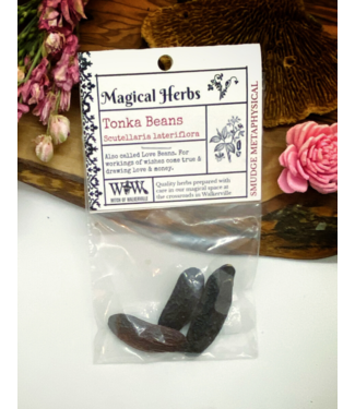 Witch of Walkerville Tonka Beans (whole) 3