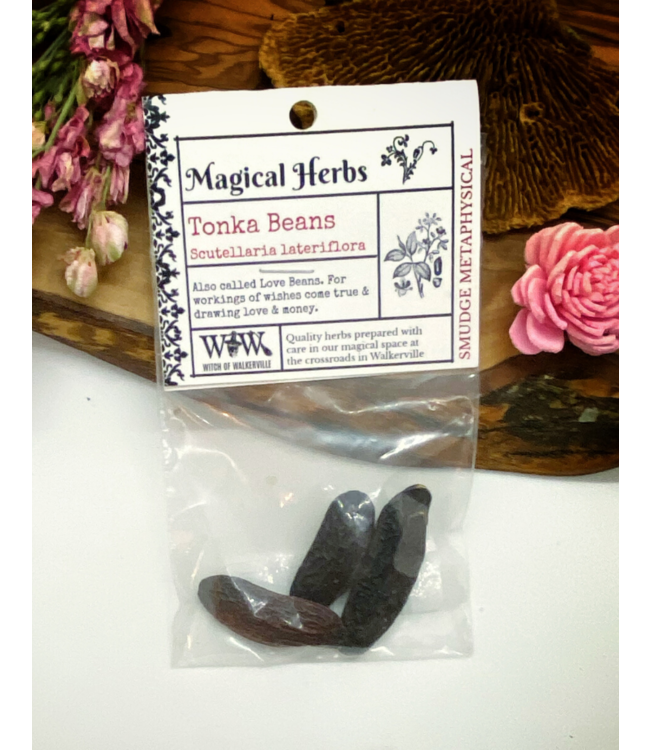 Tonka Beans (whole) 3 Smudge Metaphysical