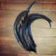 sage Black Rooster Feather