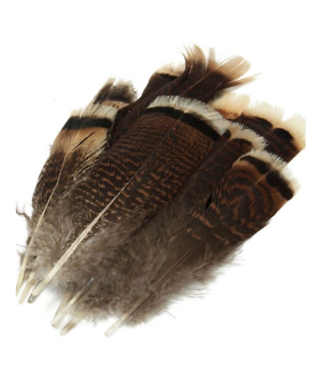 Smudging Turkey Feathers — Wildflower Centre for Natural Healing