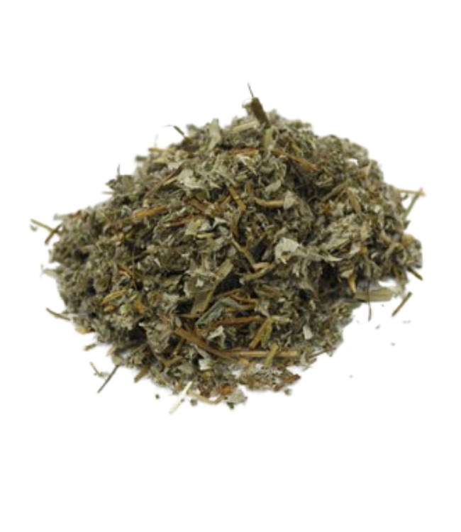 Witch of Walkerville Cinquefoil - Five Finger Grass