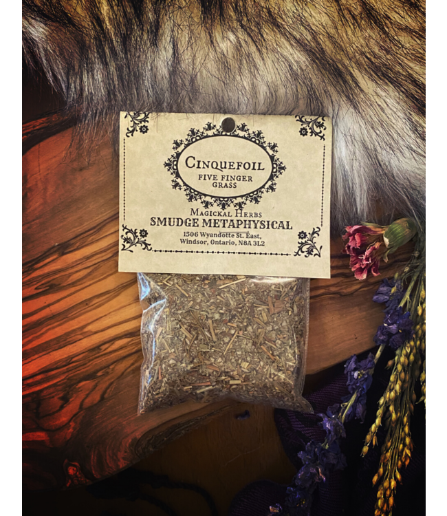 Witch of Walkerville Cinquefoil Five Finger Grass