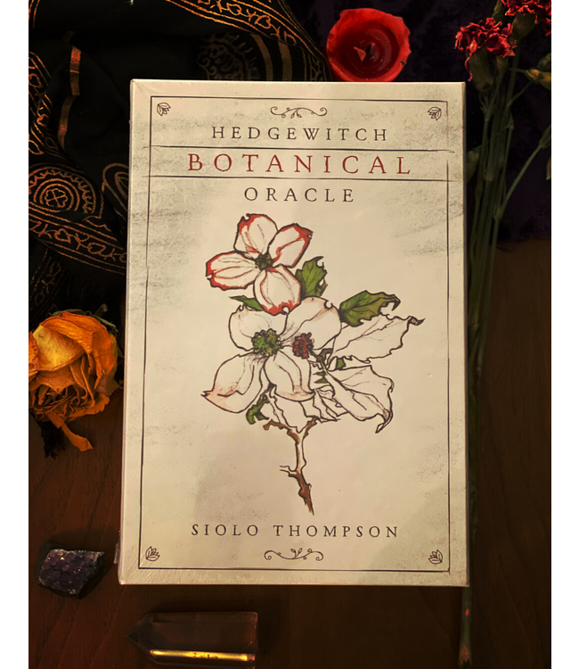 Llewellyn Publications Hedgewitch Botanical Oracle