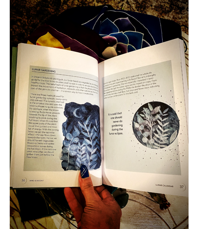 Aster Moon Power: Conscious Guides: Empowerment through cyclical living