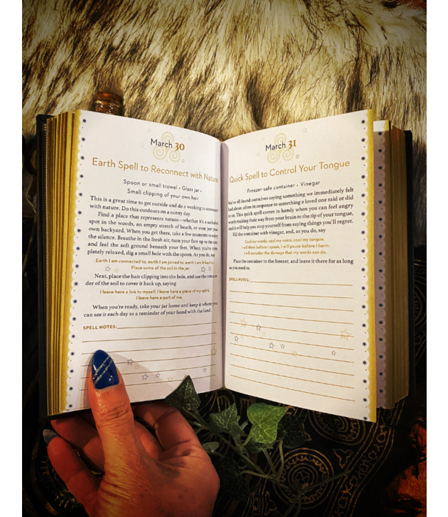 The Daily Spell Journal: A Diary of Enchantments for Every Day of the Year (Volume 6)