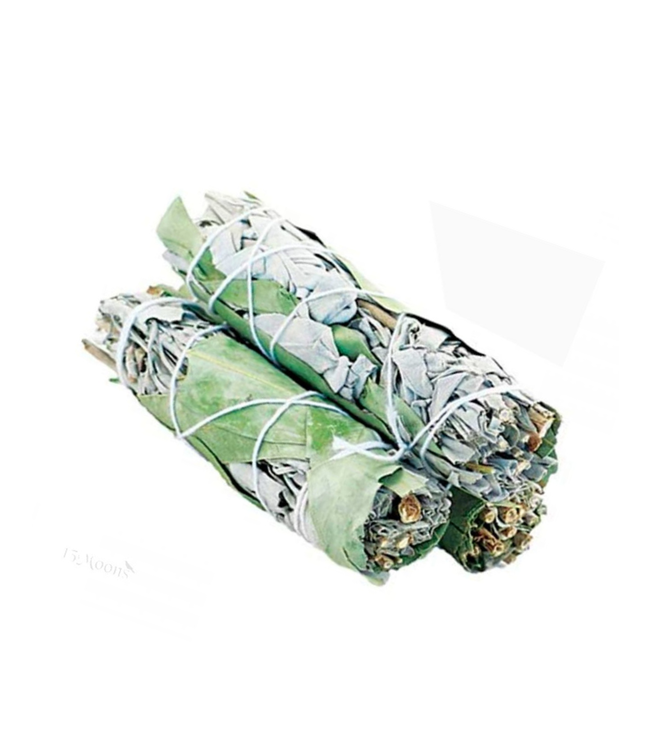 Witch of Walkerville Eucalyptus & White Sage 5"