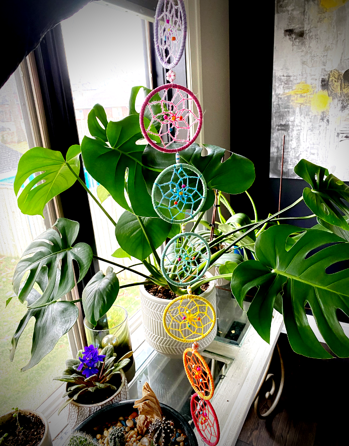 Beautiful Soul Collective Chakra Vibes Dream Catcher