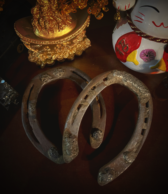 Lucky Horseshoe Decor. Everyone Can Use a Little Luck in Their Life 