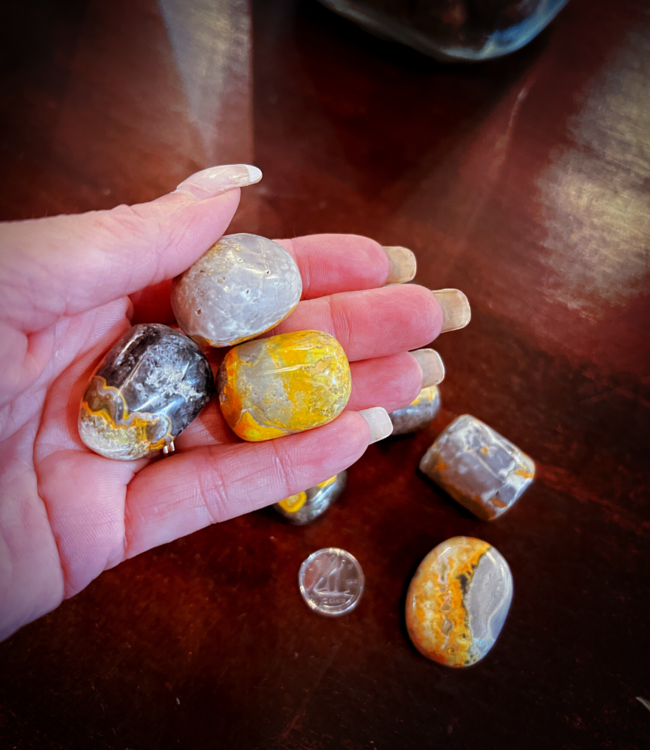 natural Bumblebee Jasper - X-large