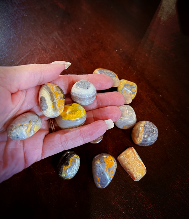 natural Bumblebee Jasper - medium