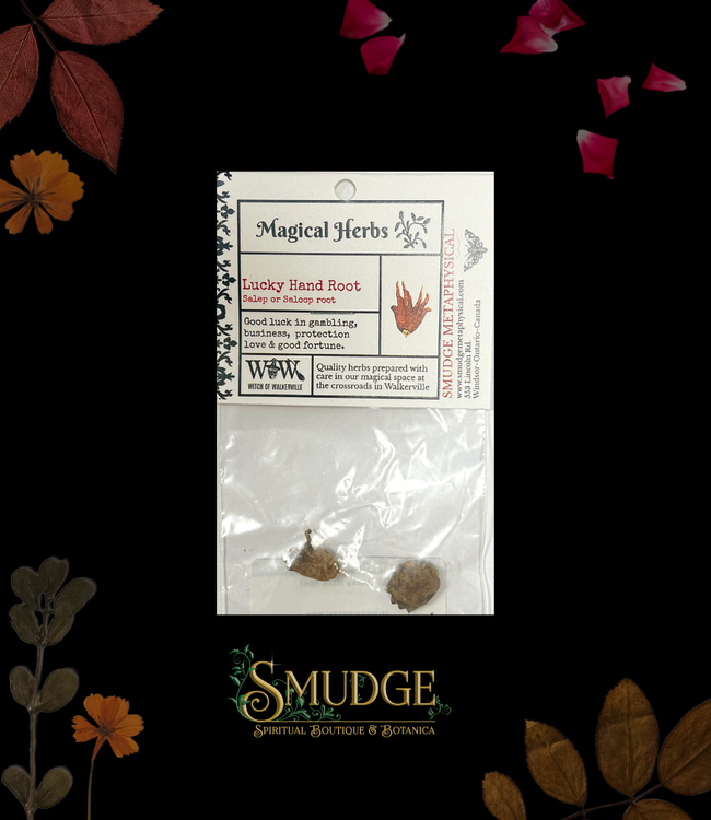 Witch of Walkerville Lucky Hand Root